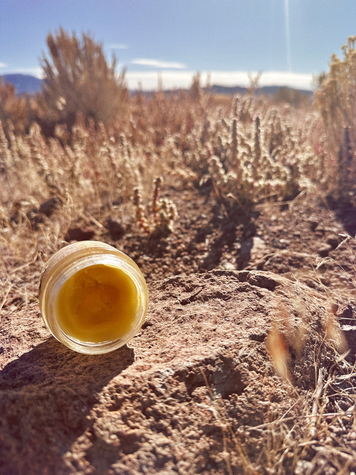 Calendula Recovery Balm