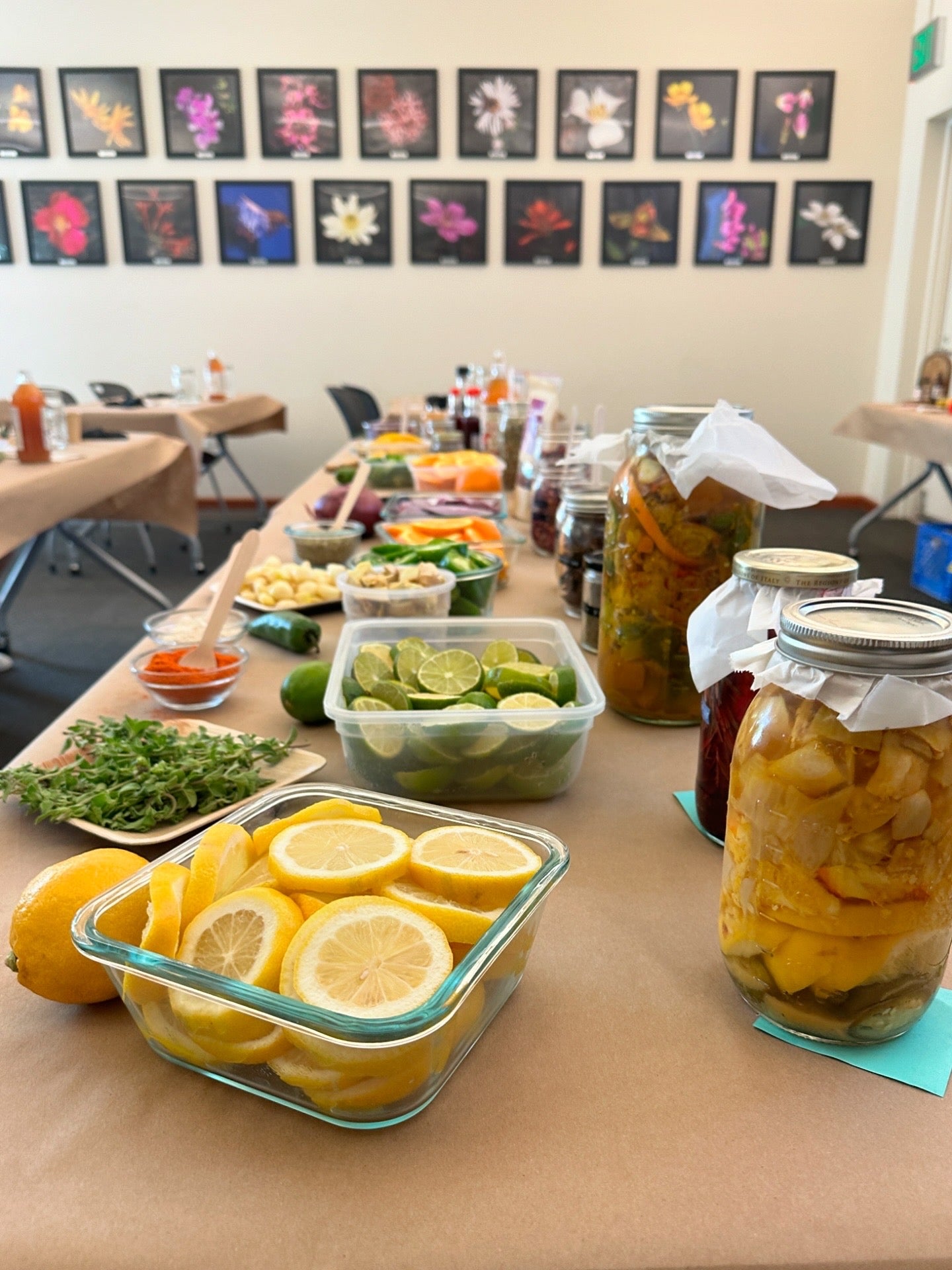 Rooted in Wellness: Fire Cider & Tea for the Season