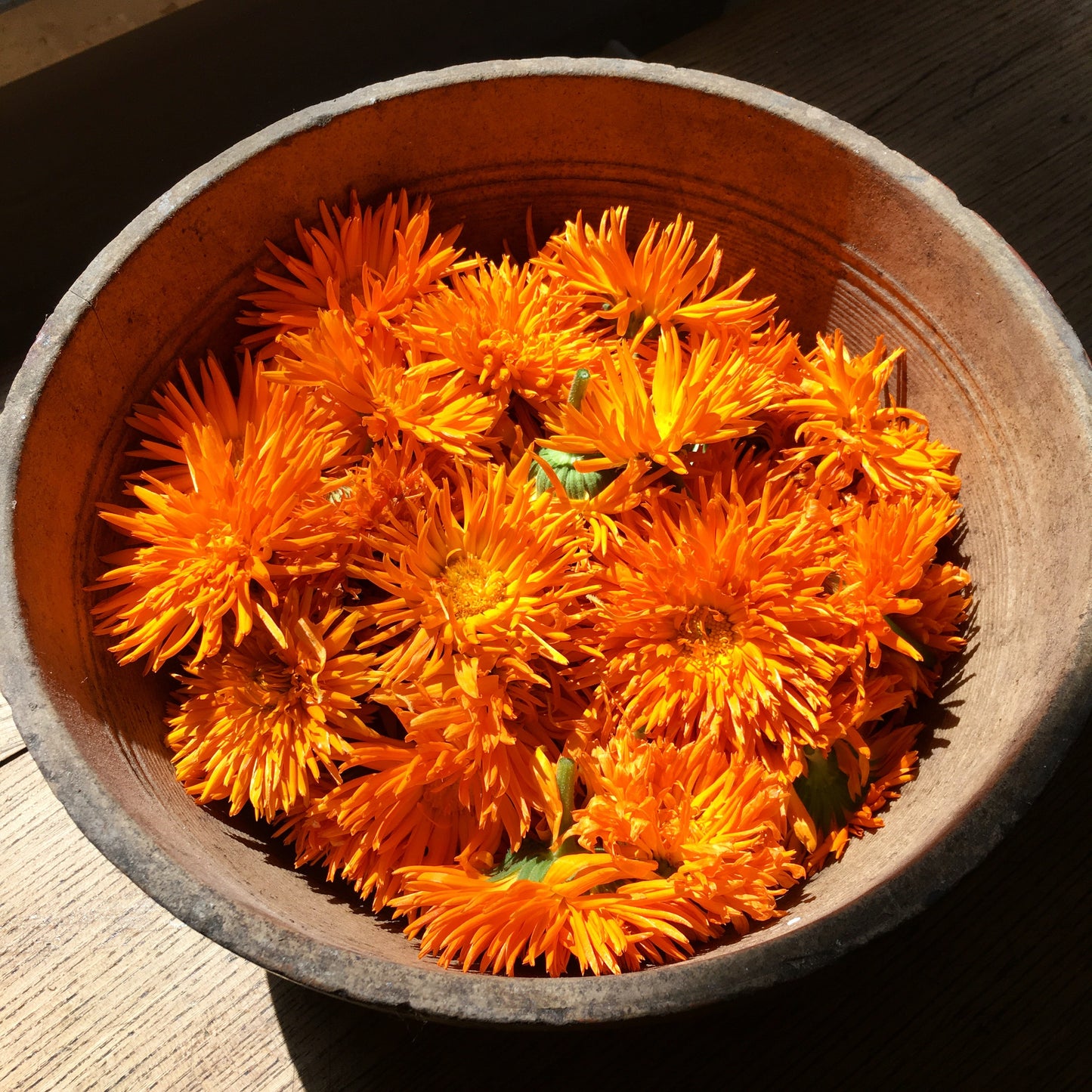 Calendula Recovery Balm