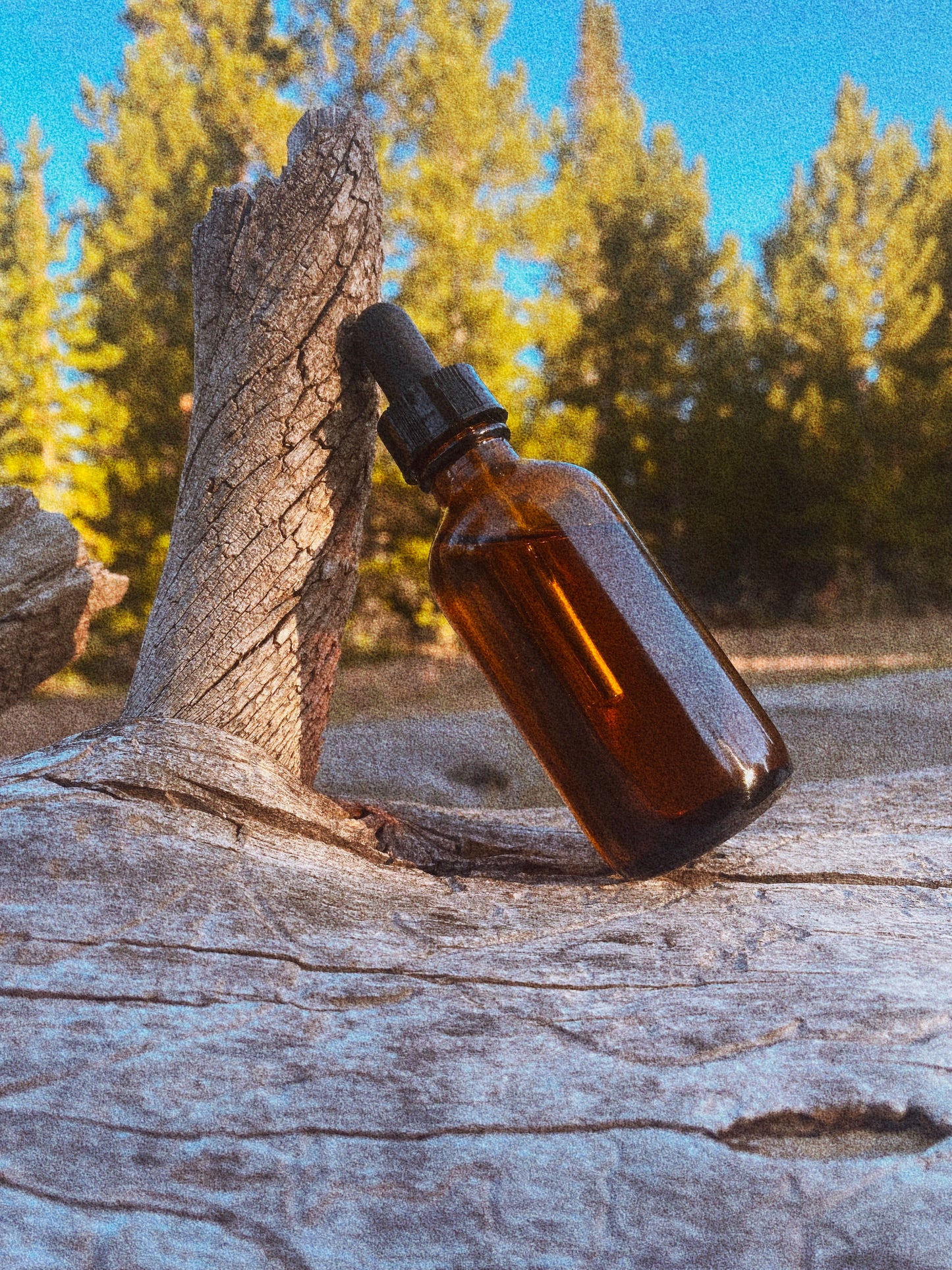 Vanilla Bean Face & Body Oil