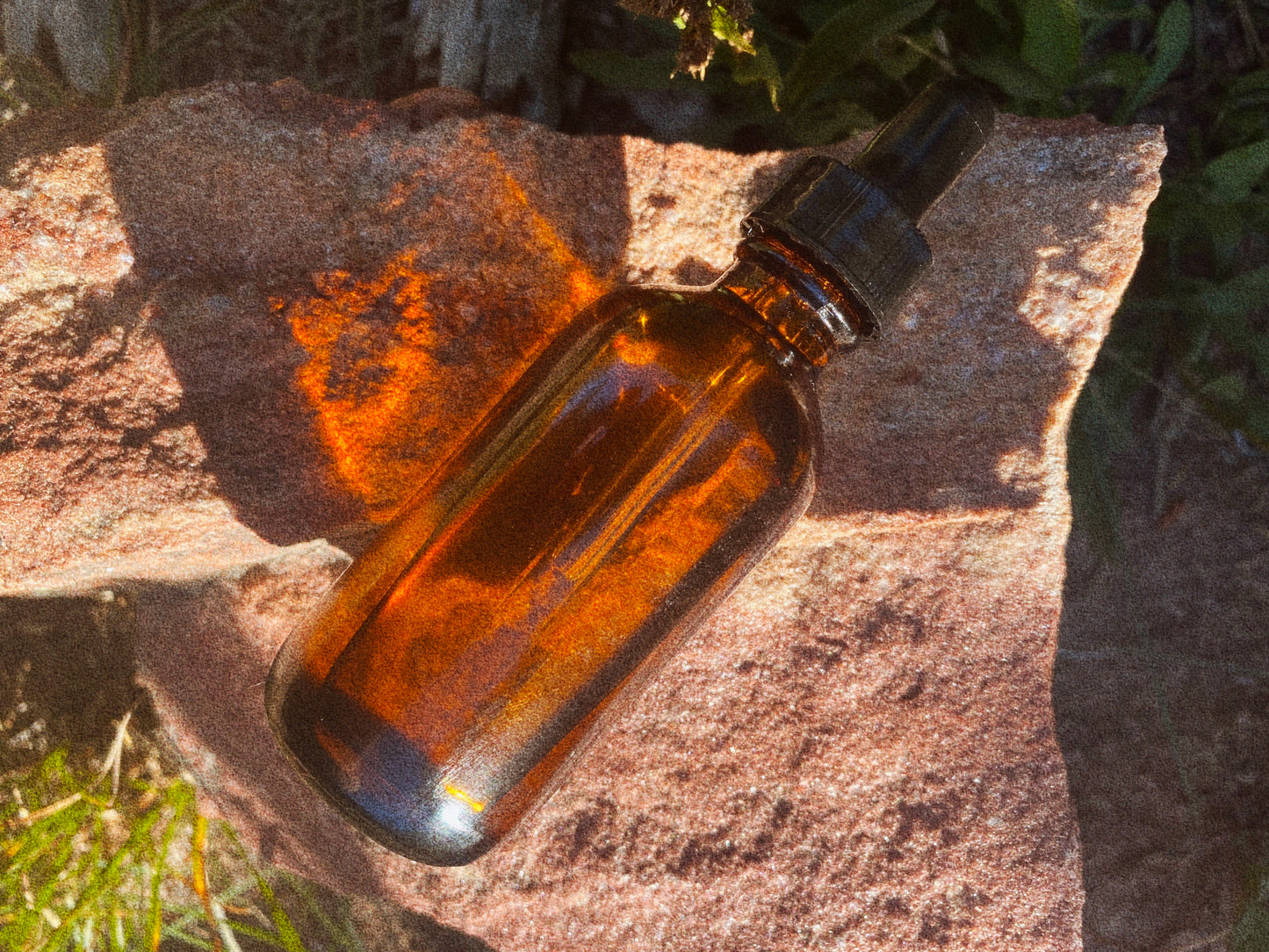 Vanilla Bean Face & Body Oil